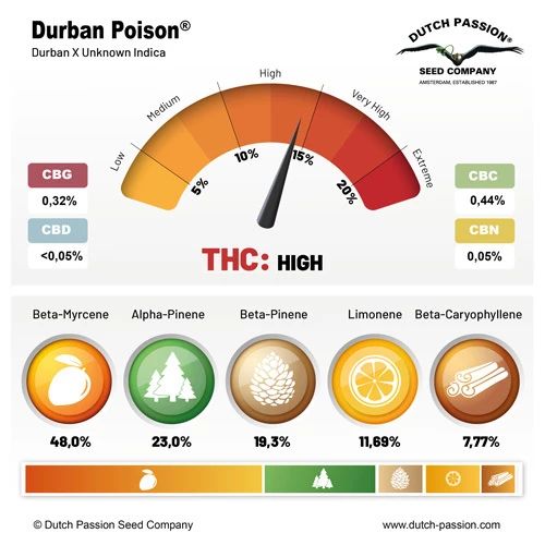 Durban Poison ®