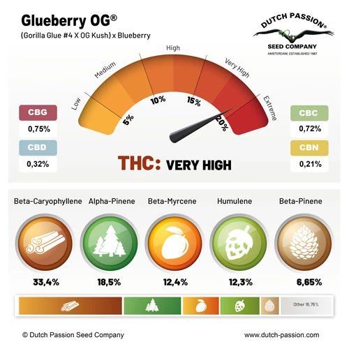 Glueberry O.G.®