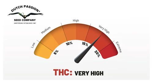 Skywalker Haze®