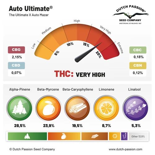 Auto Ultimate ®