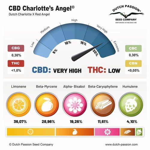 CBD Charlotte’s Angel ®