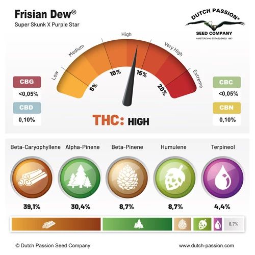 Frisian Dew ®