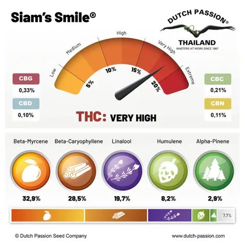 Siam’s Smile ®