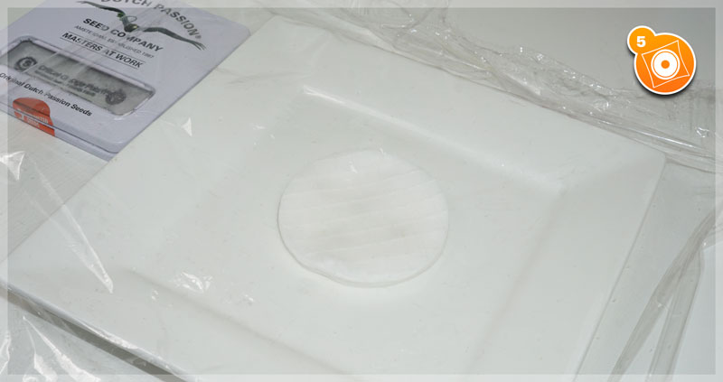 Plato con discos de algodón sellado con papel de aluminio perforado