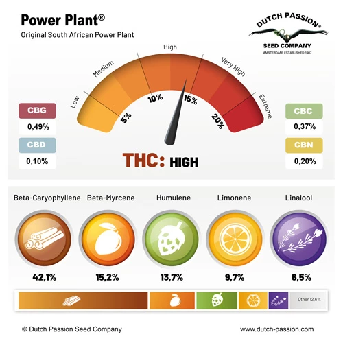 Power Plant terpenes and cannabinoids