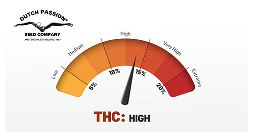THC high clean image