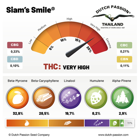 siamsmile